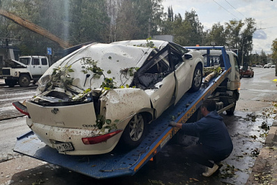 В Самаре огромное дерево рухнуло на машину с водителем
