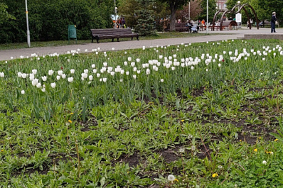 В Волжском районе летом 2024 года приведут в порядок дворы, дороги и общественные пространства
