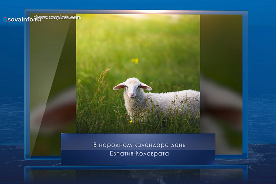 Евпатий-Коловрат. Календарь Губернии от 24 августа