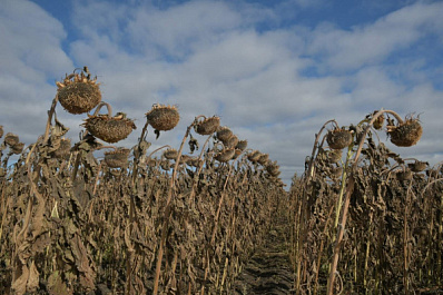 Джамбулат Хатуов оценил селекционный потенциал НИИСХ имени Тулайкова