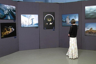 Золотая Черепаха добралась до Самары