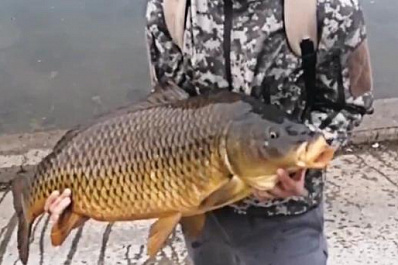 Житель Самары поймал огромного карпа на озере в парке Металлургов