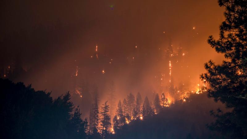 Режим чрезвычайной пожарной опасности лесов в Самарской области продлили до 7 июня