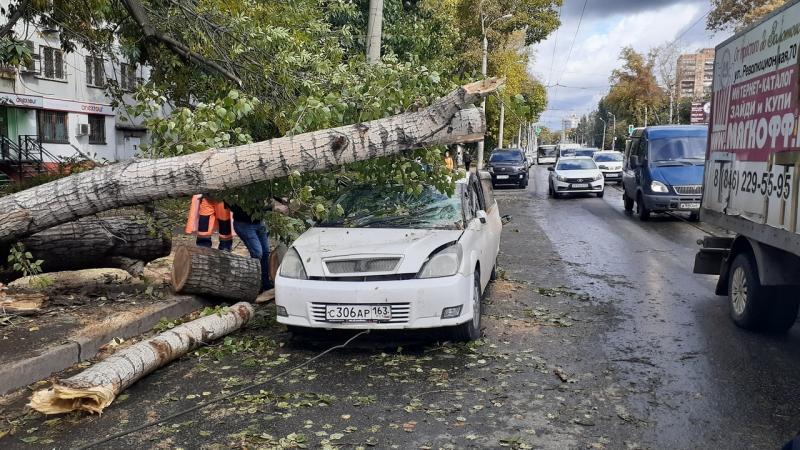 В Самаре огромное дерево рухнуло на машину с водителем