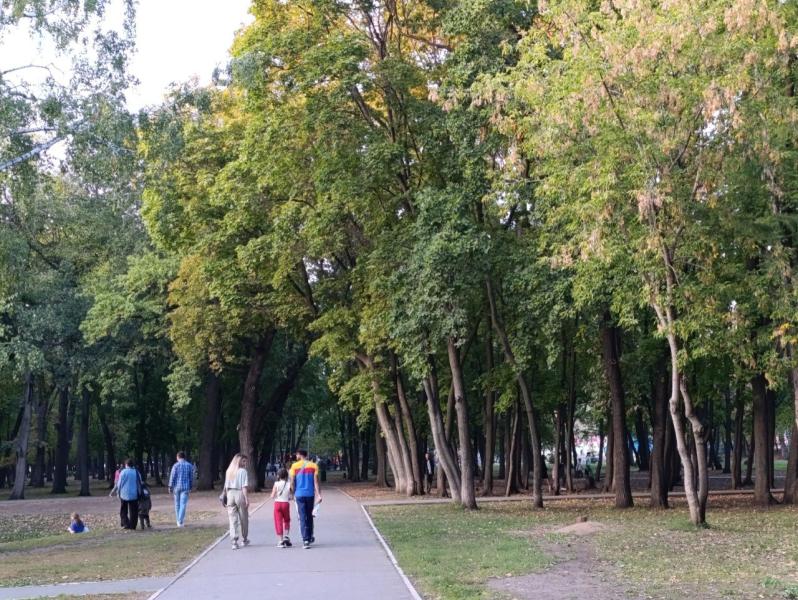 Многодетные семьи смогут принять участие в тематическом забеге в Самаре