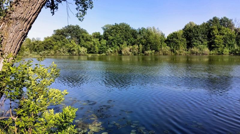 В Самарской области из пруда достали тело мужчины