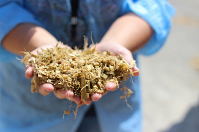 Название статьи