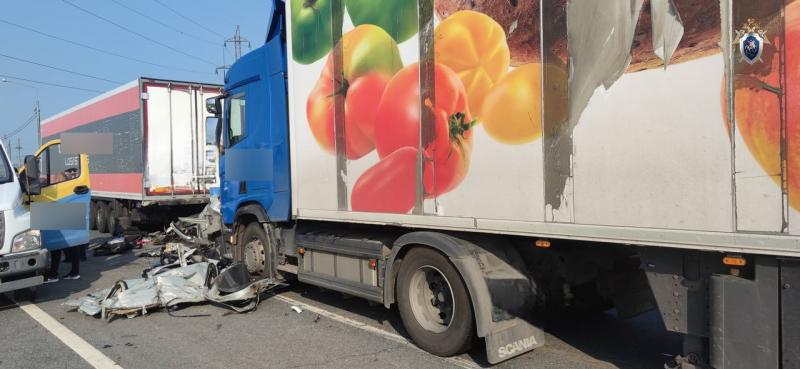 5 авто, 4 погибших: в Самарской области возбудили уголовное дело по факту смертельного ДТП