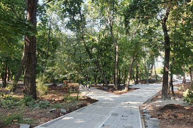 В Самаре к 1 сентября 2021 года благоустроят вторую в городе "Дубовую рощу"