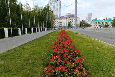 Масштабный субботник: в Самаре привели в порядок газоны