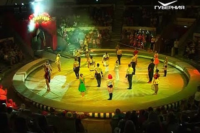 В самарском цирке зрителей удивили чудесами дрессуры