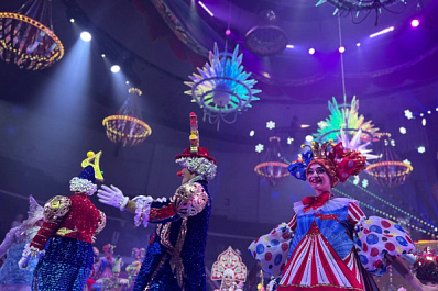 В Самаре цирк шапито наказали за гастроли 