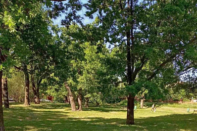 В Кинельском районе обновят территории в 4 селах