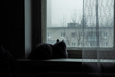 Самарский врач-психотерапевт Ольга Ковшова рассказала, как бороться с осенней хандрой