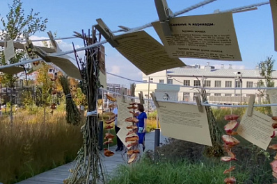 В Самаре у Фабрики-кухни прошел фестиваль "Сад культур"