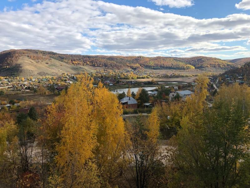 В селе Студенцы прошел экологический субботник по посадке елок