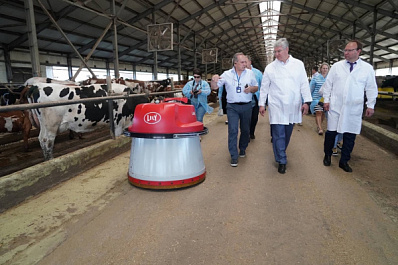 Итоги полугодия в животноводстве подвели в Самарской области