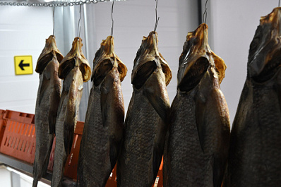 В Сызрани прошел гастрофестиваль "Рыба - раки"