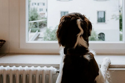 В Тольятти отопительный сезон начнется в понедельник, 26 сентября