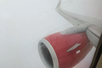 В небе над Самарской областью в двигатель пассажирского самолета попала птица