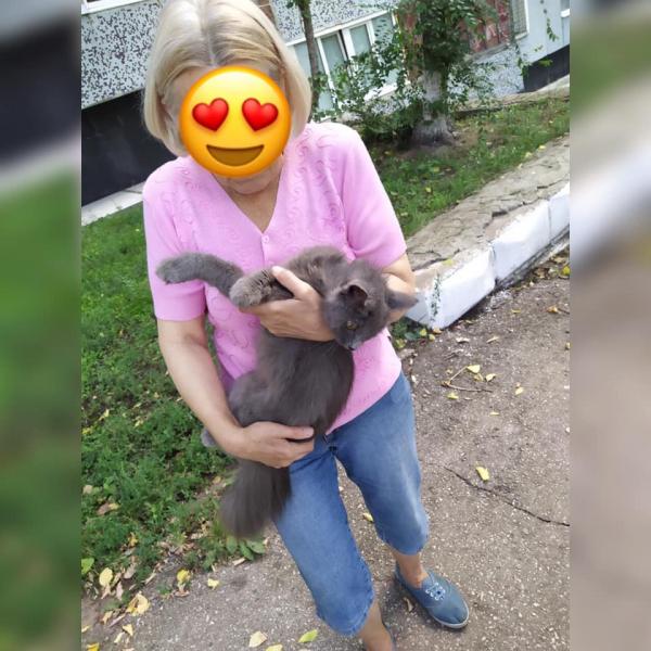 В Тольятти спасатели достали измученную кошку из бетонных швов