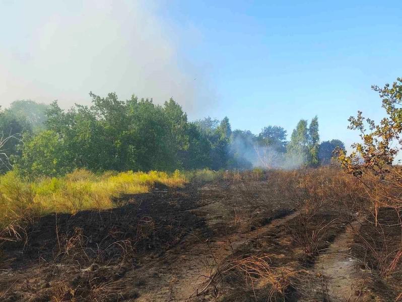 В Самарской области 8 июля на 700 квадратных метрах горел сухостой