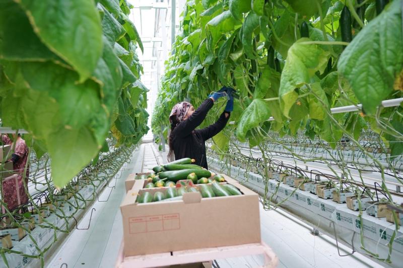 Народные приметы на 27 мая 2025 года: что нельзя делать в этот день