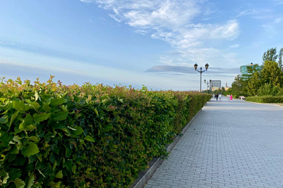 В ближайшие часы в Самарской области ожидаются гроза и сильный ветер 