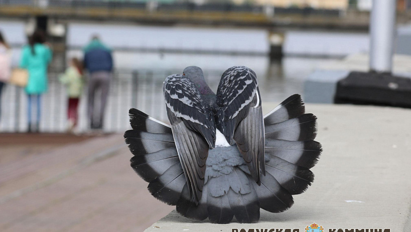 24 мая в истории и архиве "ВК"