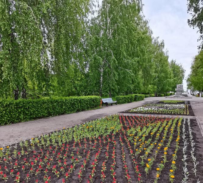 В Тольятти благоустроят два парка