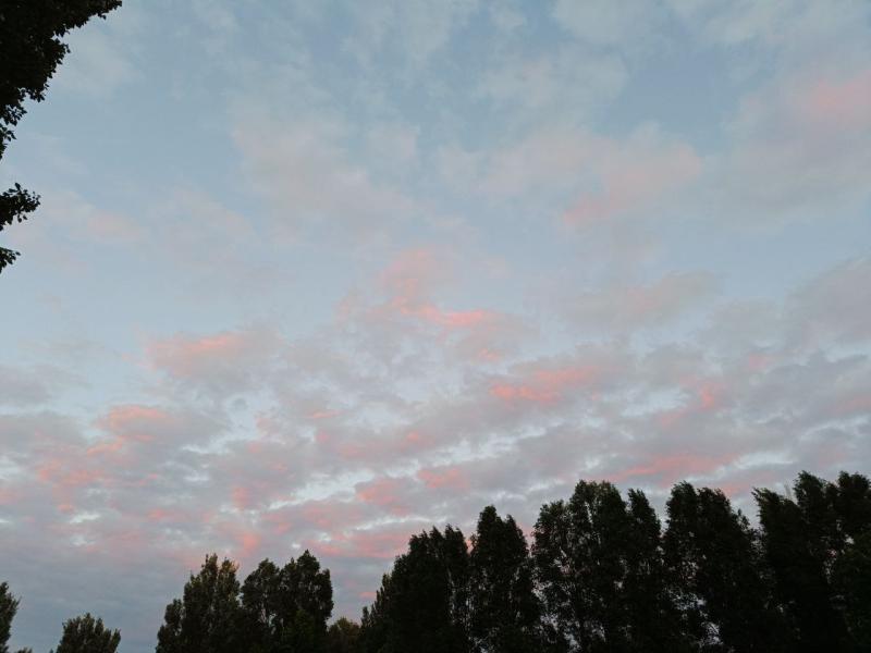 Погода на 1 июня 2025 года: народные приметы и прогноз синоптиков