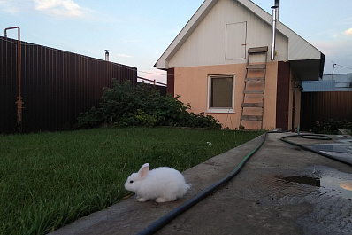 Штормовое предупреждение объявили в Самарской области