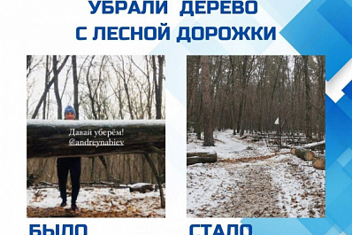 Муниципальный центр управления Тольятти решает проблемы жителей