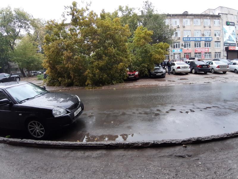 В Самаре дерево упало на стоянку автомобилей