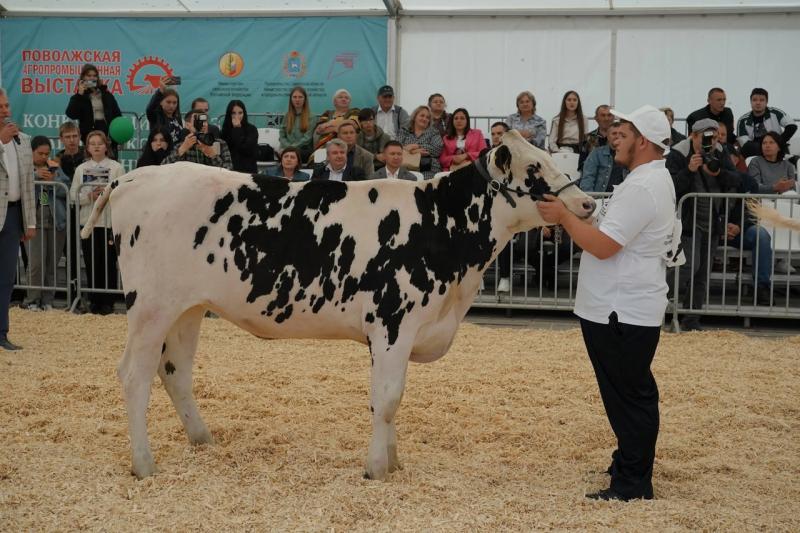 Кинель активно готовится к осенней агропромышленной выставке