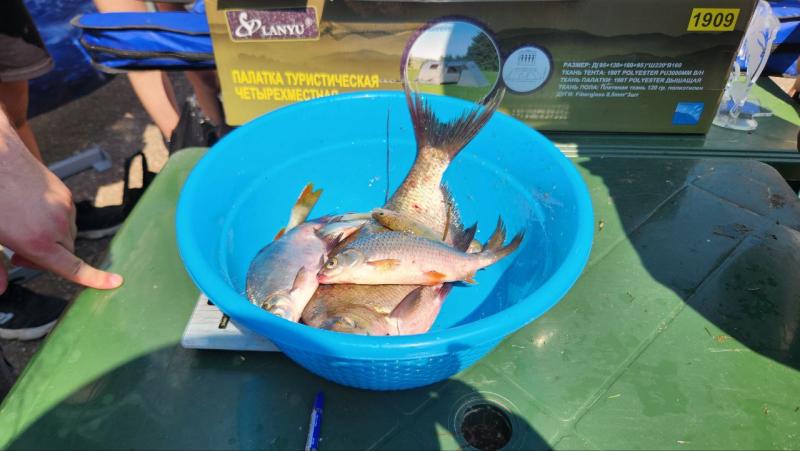 На большую семейную рыбалку  в Усть-Кинельском собралось две сотни участников