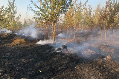 Пожар в лесничестве Тольятти полностью ликвидирован