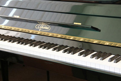 В Красноярскую школу искусств поступили новые музыкальные инструменты 