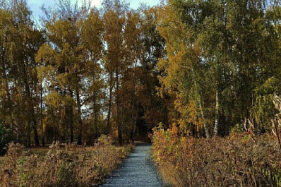 В Самарской области 27 октября будет небольшой дождь и туман