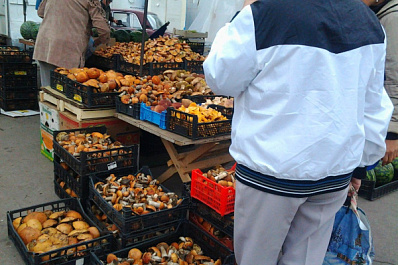 В Тольятти планируют перенести ярмарку с Центральной площади