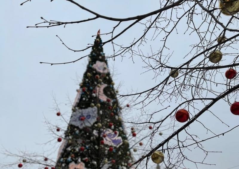 В Тольятти на остановках 29 декабря Дед Мороз и Снегурочка будут развлекать прохожих