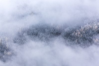 Мороз до -22 °C, снег и туман: погода первых дней 2019 года в Самарской области