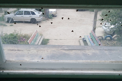 Название статьи