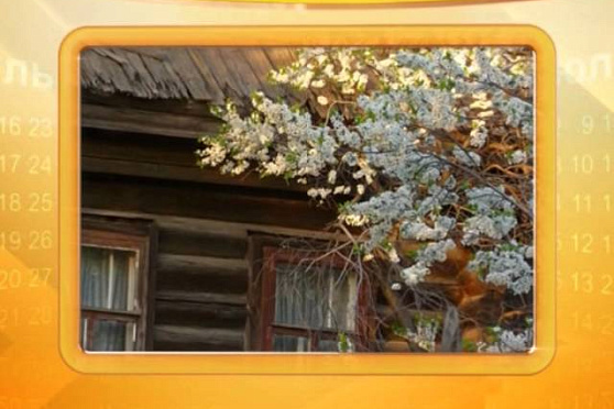 Календарь губернии 17.09.2014 