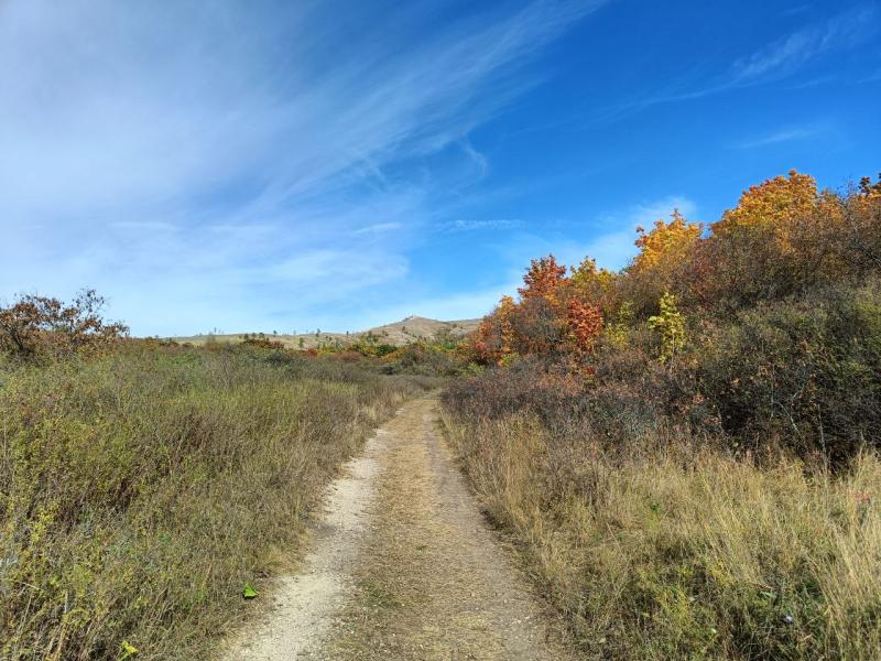 Мнение психолога: позитивные эмоции помогают бороться со стрессом