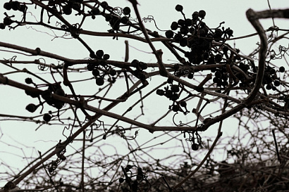 Название статьи