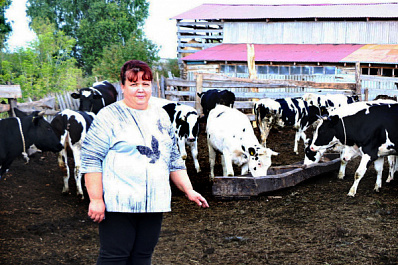 Грантовая поддержка на развитие молочного животноводства помогает фермерам Шенталинского района 