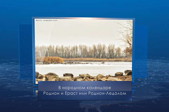 Родион-Ледолом. Календарь губернии от 23 ноября