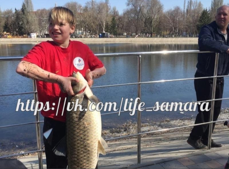 Самарский школьник поймал огромного сазана в парке Металлургов