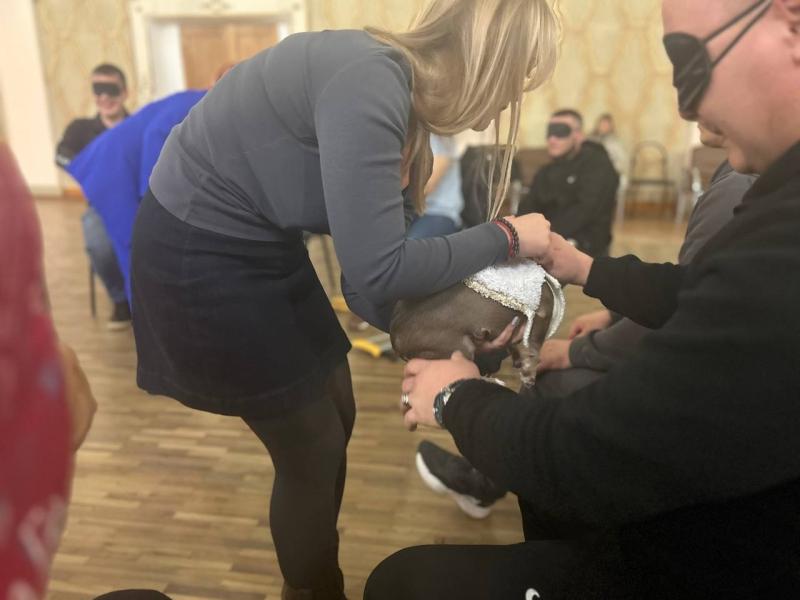 "Военные были в легком шоке": в Самаре психологи с помощью собак-терапевтов социализируют участников СВО